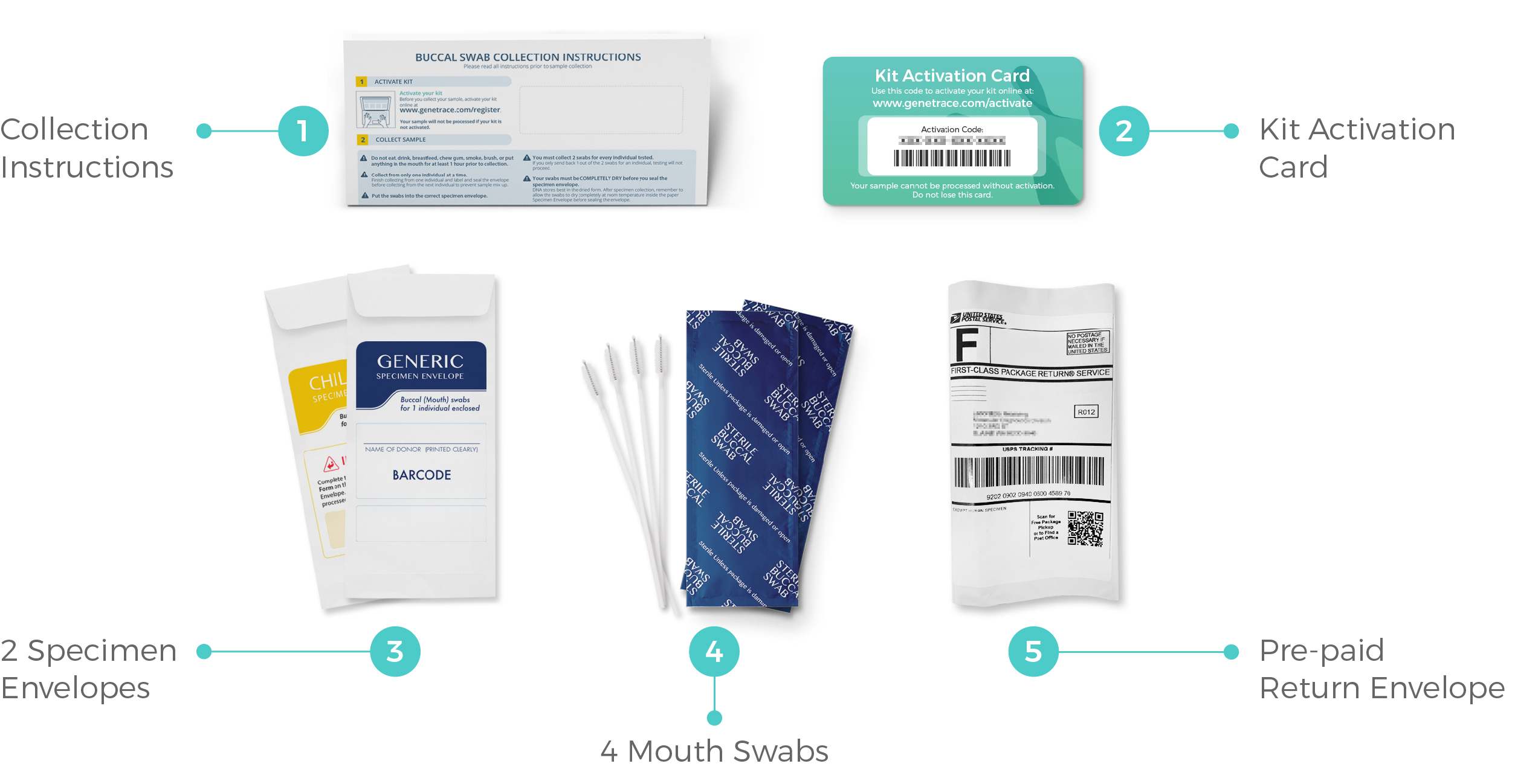 Contents of the Genetrace paternity test kit, which includes swabs for collecting samples, specimen envelopes to hold the samples, instructions for collecting the samples, a kit activation card, and a prepaid return envelope.